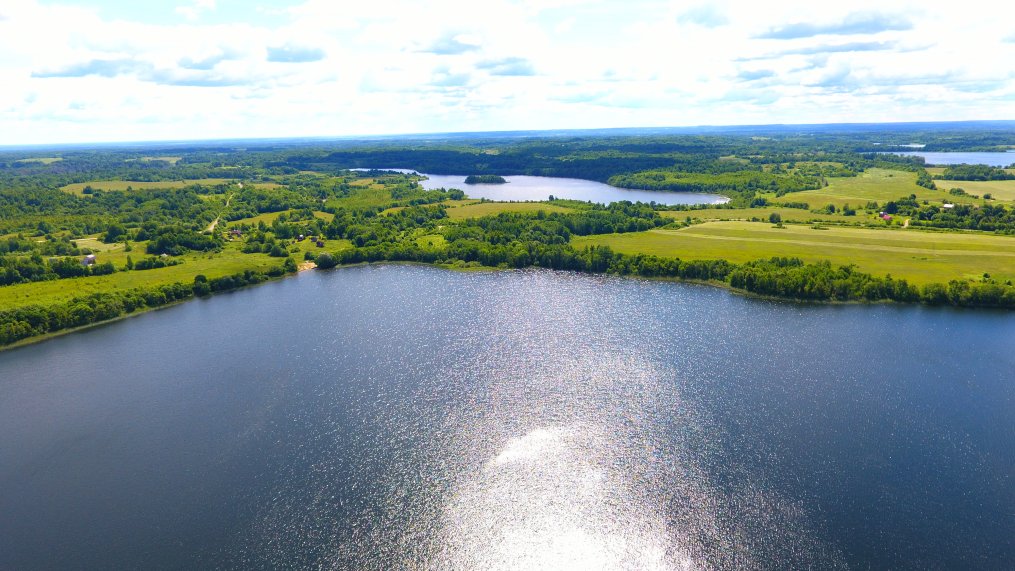 Участок 11 Га на берегу озера Городно