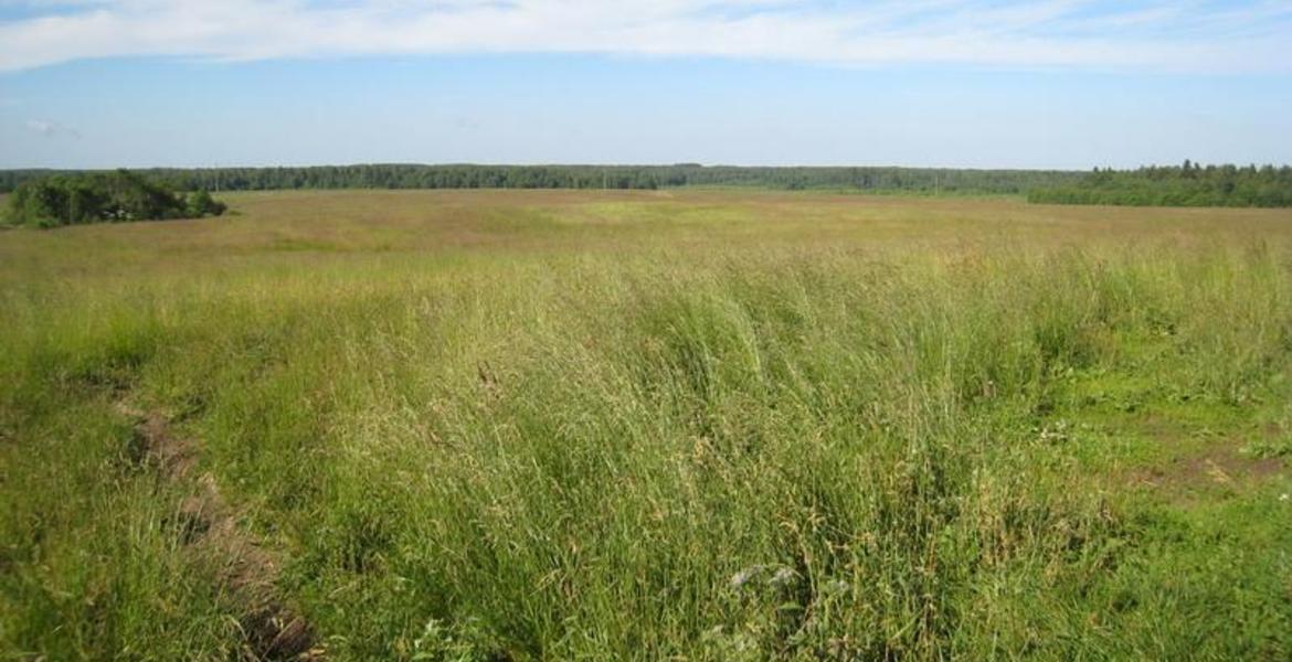 Земельный участок сельхозназначения 12 Га вдоль дороги