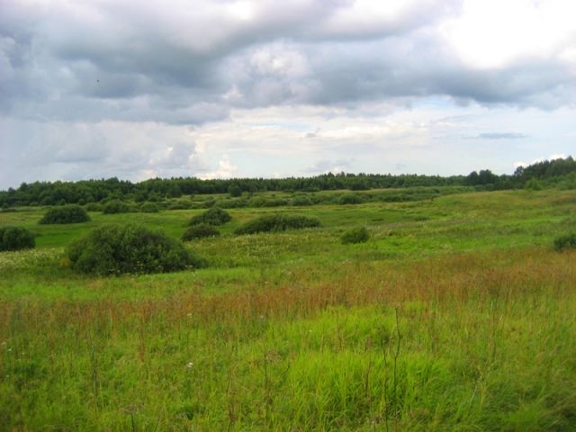 Участок c/х назначения 224 Га, деревня Рубеняты