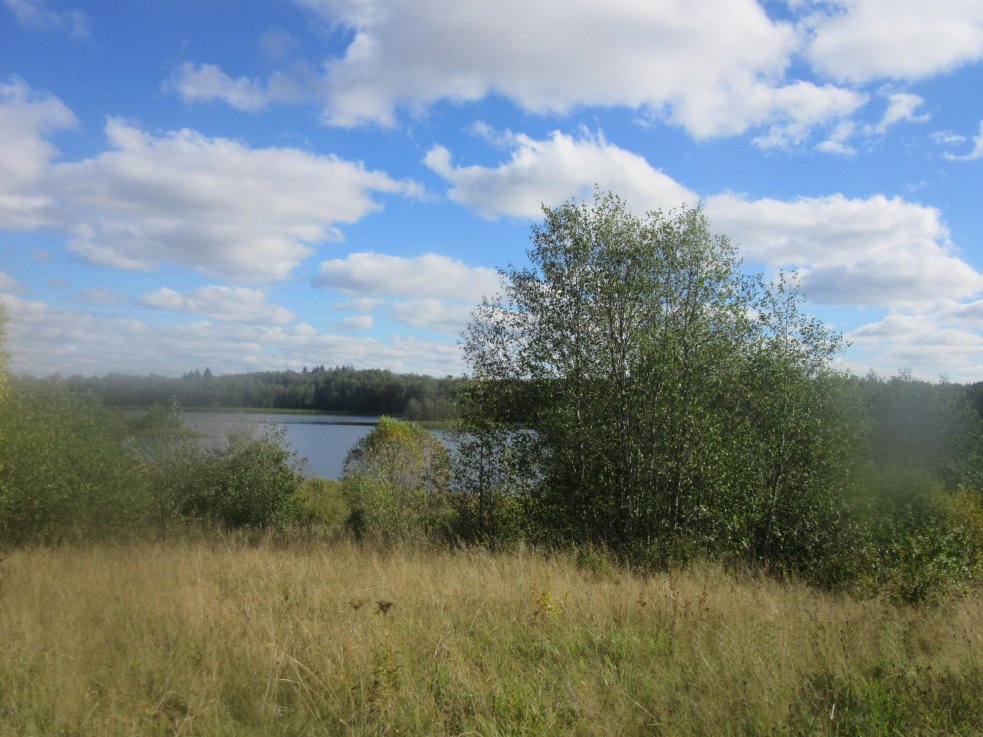 Земельный участок 260 Га у озера