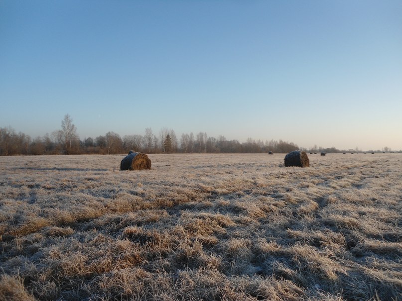 Участок 5,6 Га на берегу реки Ловать